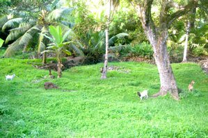 La Digue